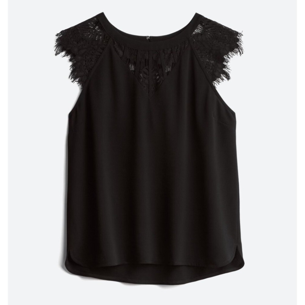 41 Hawthorn Jarred Lace Detail Cap Sleeve Blouse In Black Women's Petite XL
